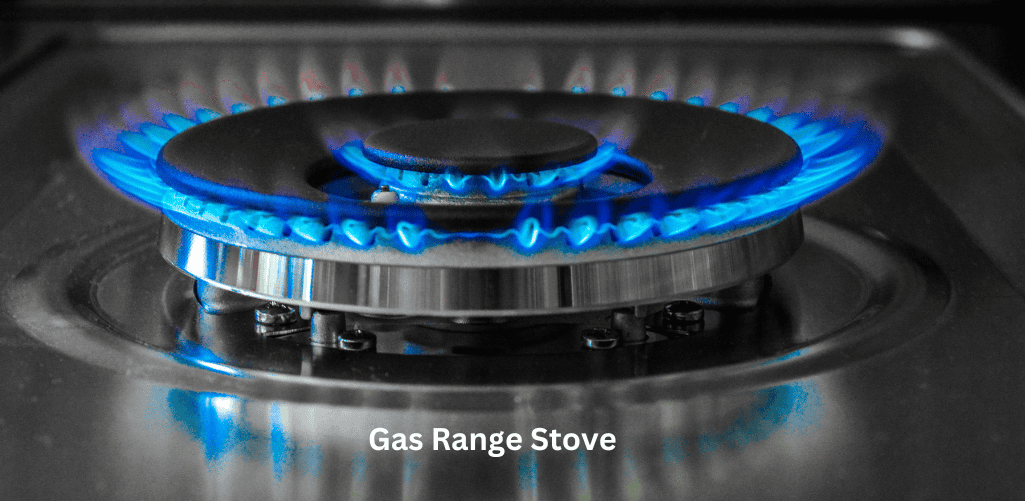 Gas Range Stove