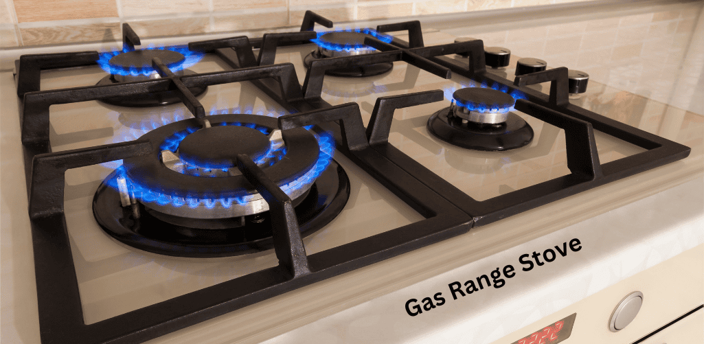 Gas Range Stove